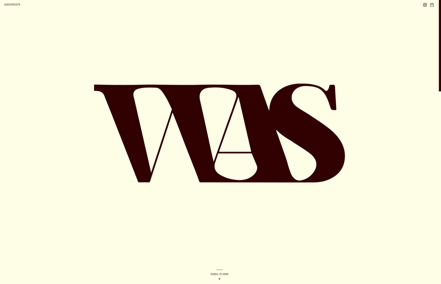 WASTHESTORE case study